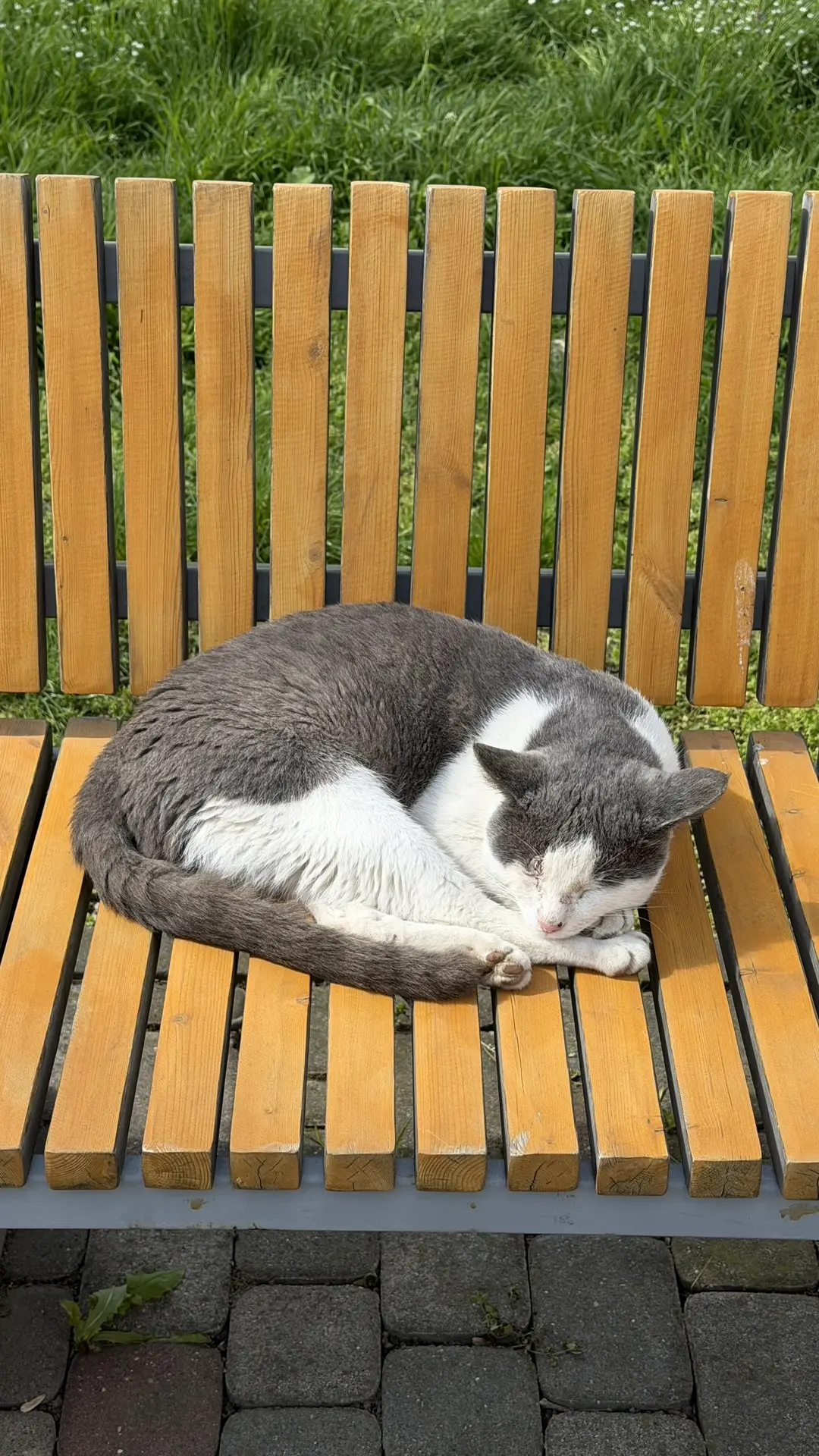 Ангарские котики передают привет и ждут вас на берегу моря ❤️
