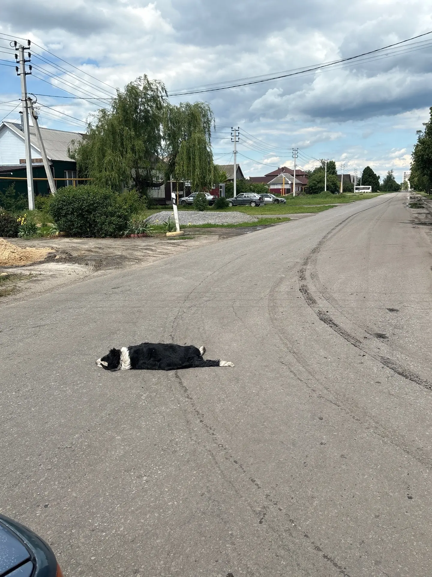 Сбили и бросили на колхозной