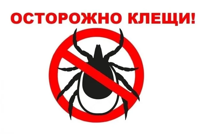 Остерегайтесь клещей