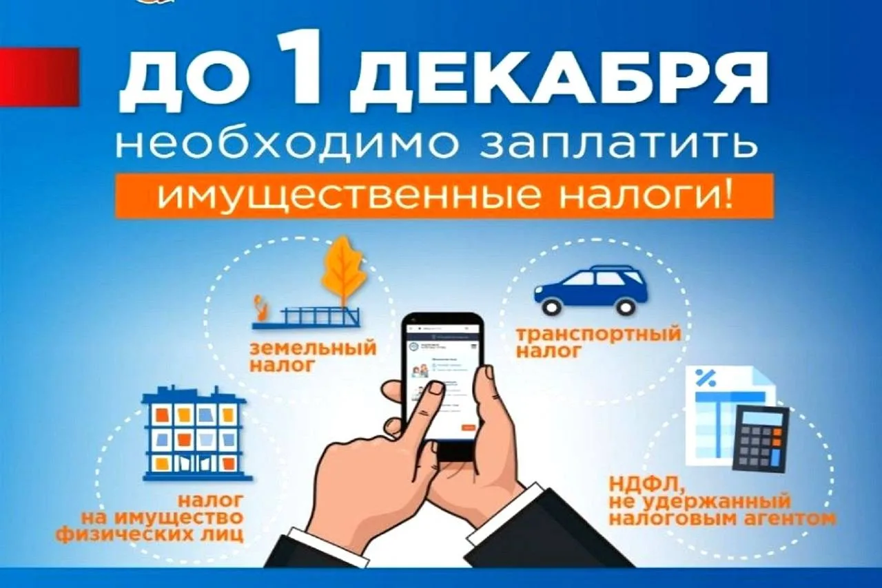 💰 Жителям Борисоглебска напомнили об уплате имущественных налогов до 1 декабря.