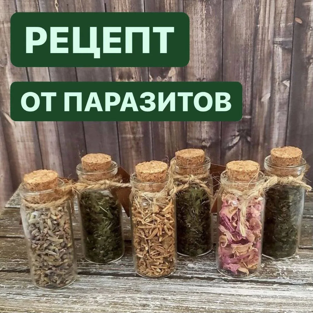 Рецепт растительной против паразитов  ✔️Полынь (3 доли) ✔️Гвоздика молотая (3 доли) ✔️Чабрец (2 доли