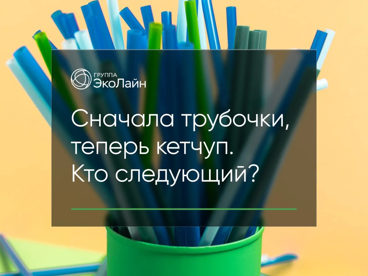 Сначала трубочки, теперь кетчуп. 
Кто следующий?

С августа 2026 года в ресторанах и барах Евросоюза