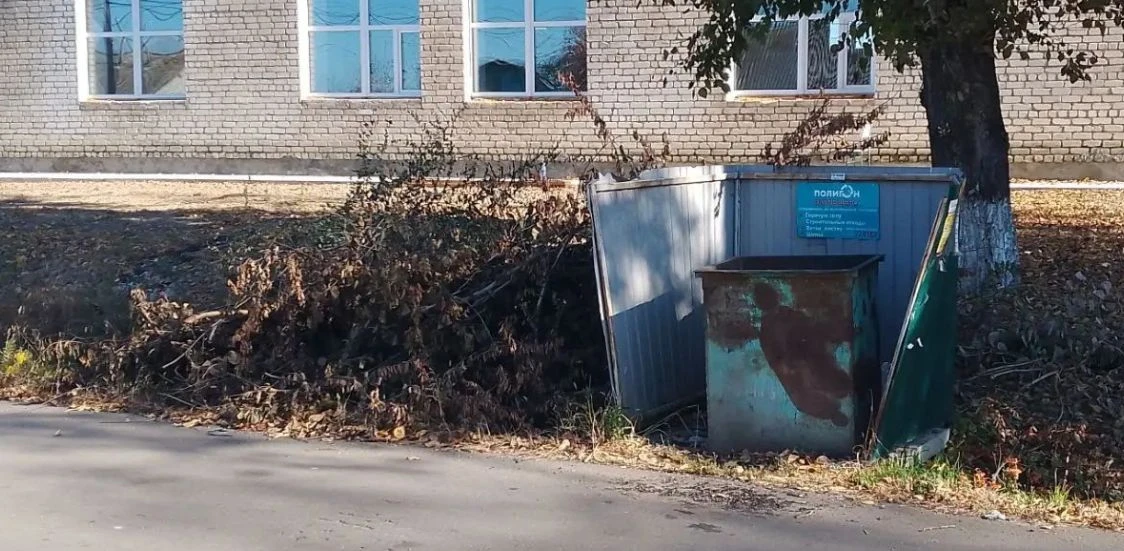 Ветки - не мусор: жители Константиновки заплатили за ошибку