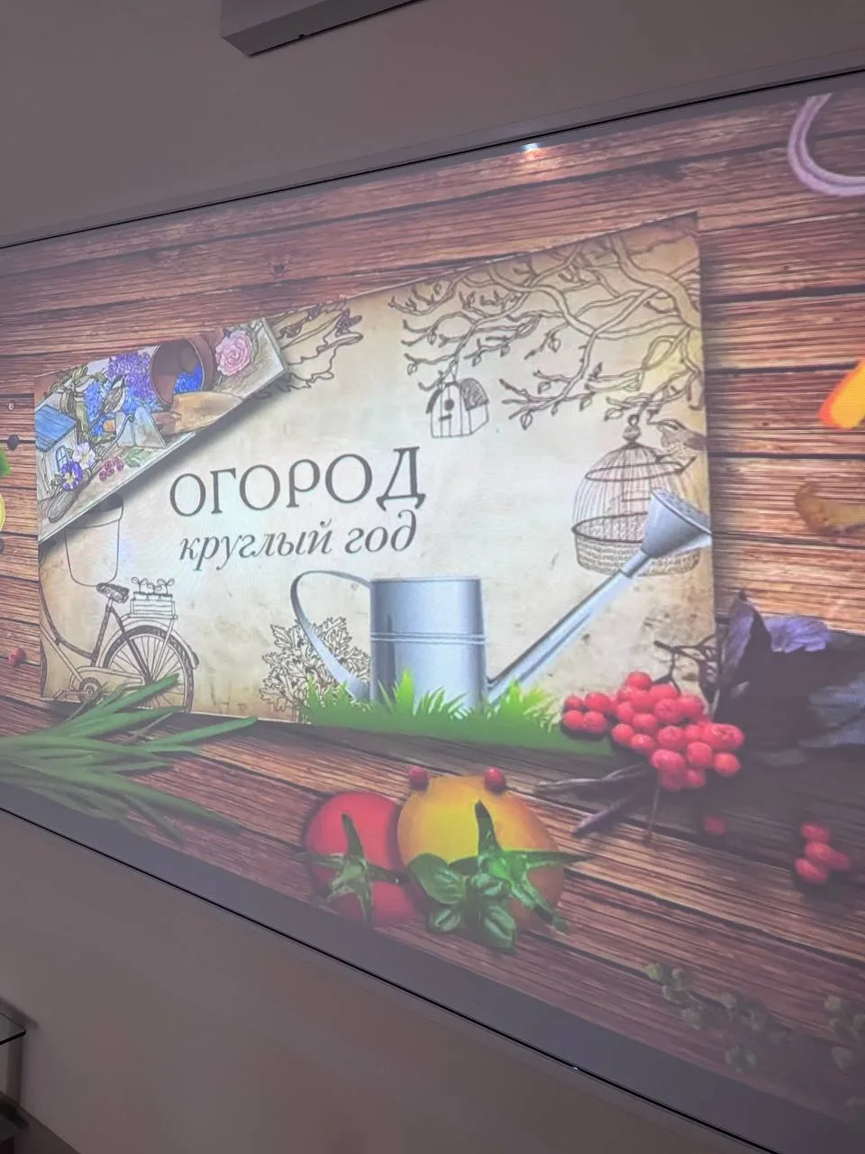 Сегодня в рамках проекта «СВОя среда» прошло сразу несколько ярких и интересных мероприятий — день п