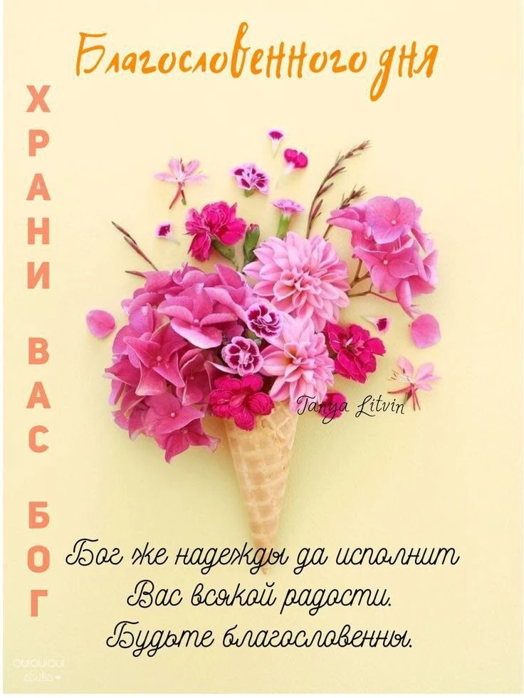 🌸🔶🌸🔶🌸🔶🌸🔶🌸🔶