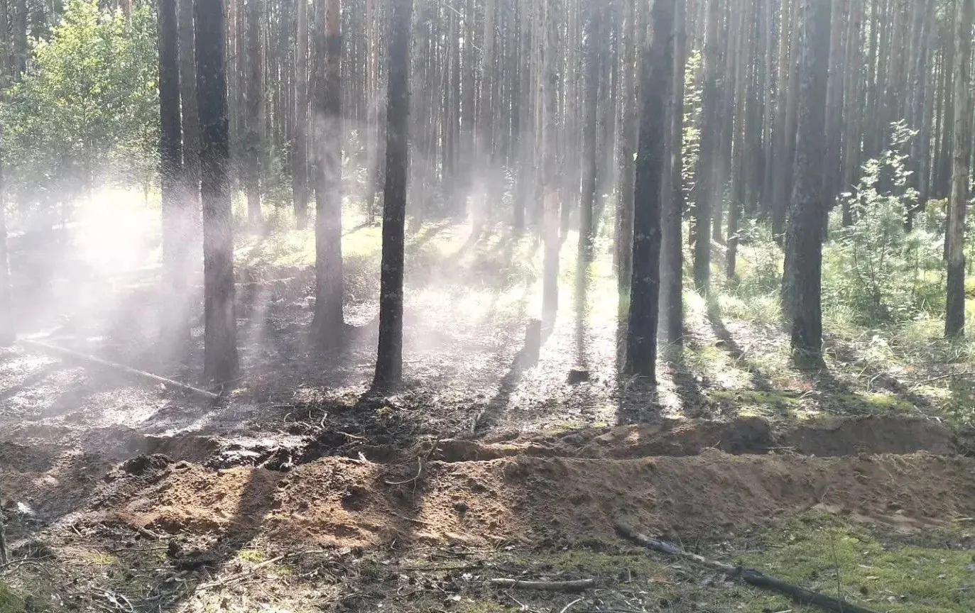 🚨 Второй лесной пожар за двое суток: снова Сосновское лесничество