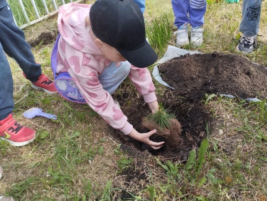 🌳🎓 Церемония "Кедр памяти: Новый путь" 🌿