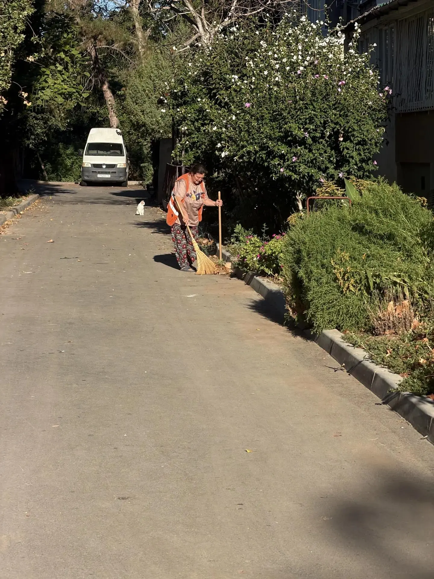 Уборка придомовой территории 08.09.26г. МКД № 22 по ул. Ленина