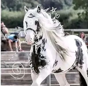 Аватарки — лошади 🐴