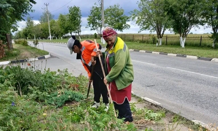 Работы по наведению санитарного порядка продолжаются на территории округа

В начале недели коммуналь