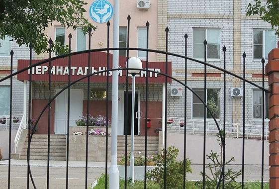 ⚡ Депутат пообещала разобраться с возможным закрытием перинатального центра в Вольске