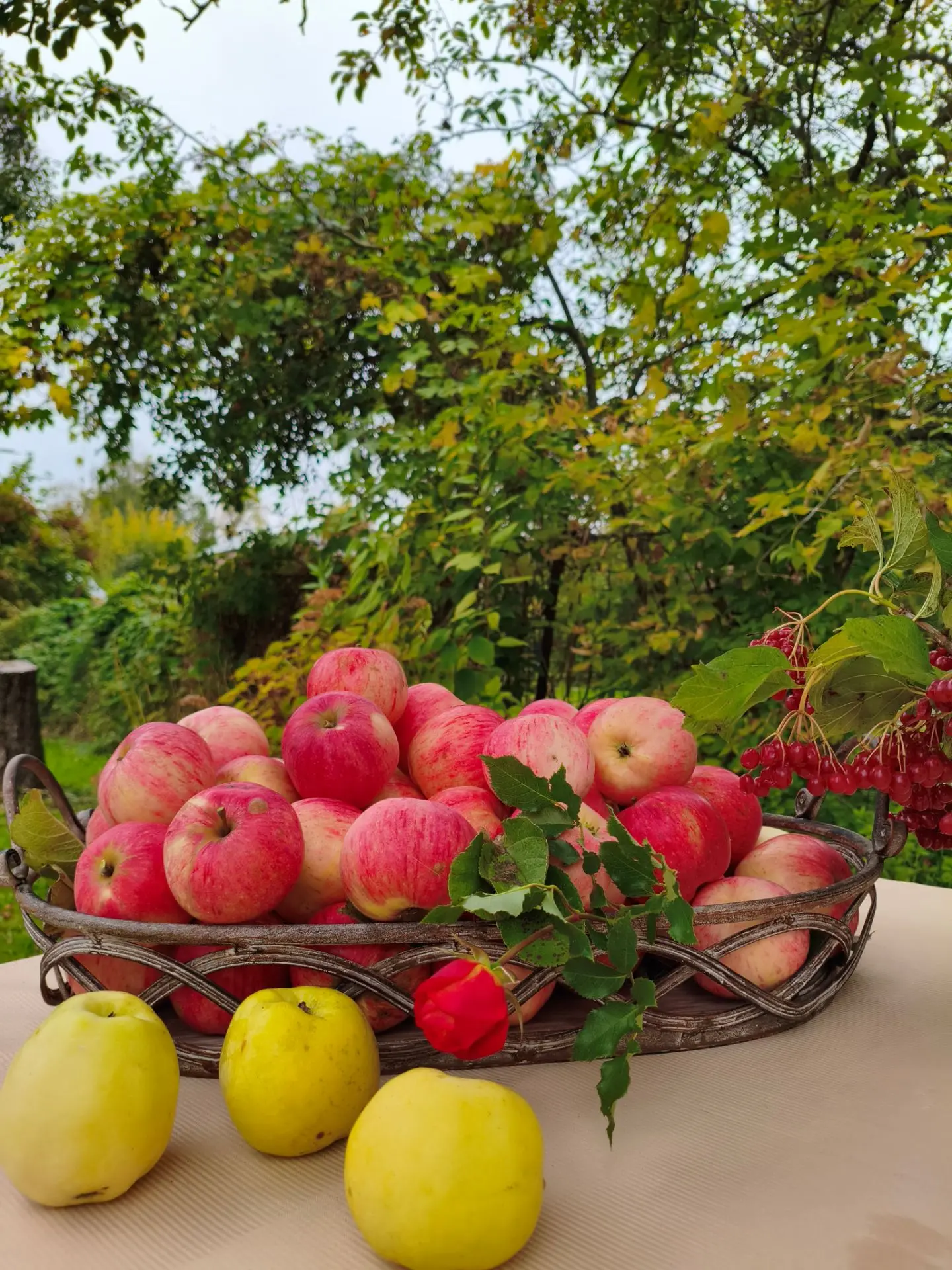 Сентябрь вступил в свои права 🍎
