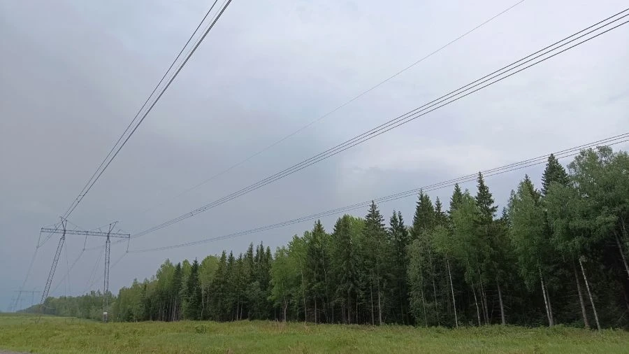 ☔️ На Ярославскую область надвигается непогода

⚠️ Экстренное предупреждение выпустило региональное 