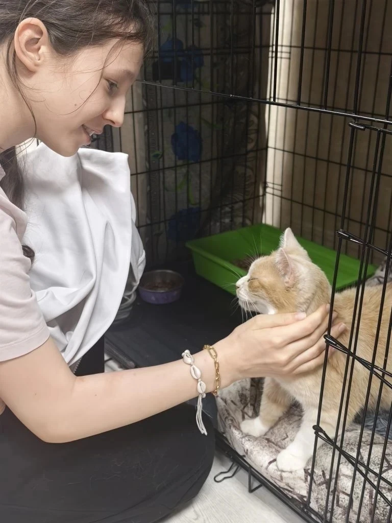 🐾 6-А класса посетили приют для бездомных животных «Пёс и кот» 🐶🐱  🏠🐕 В преддверии каникул ученики 6