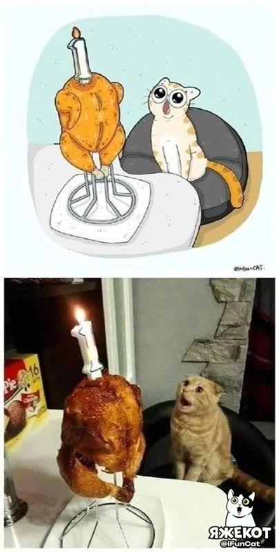 🐾 ЯЖЕКОТ