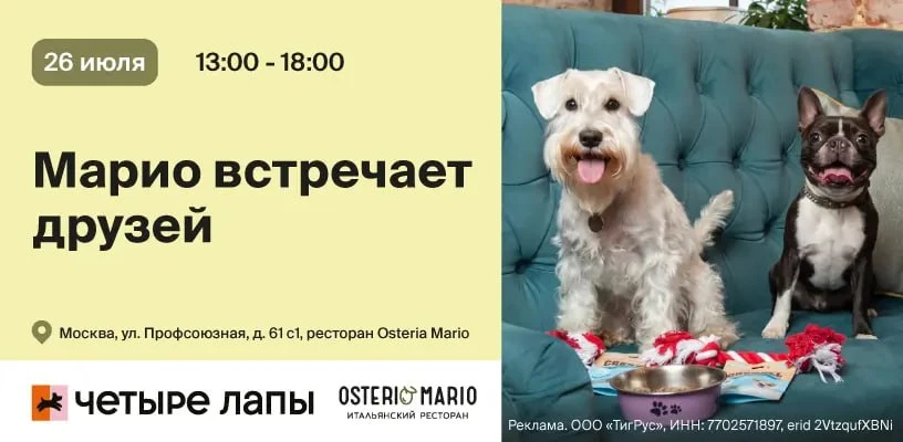 Пет-вечеринка

• бьюти-зона экспресс-груминга бесплатно
• тематический дог-бар и зона лимонадов
• де