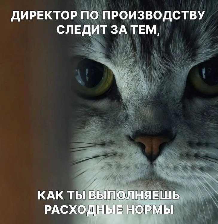 Мы просто оставим это здесь. Как намек, что лето - не повод расслабляться.