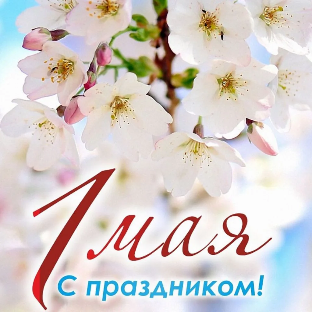 🌱С праздником🌞 Весны и Труда! 🌸Желаем, чтобы этот теплый майский день принес новые с...