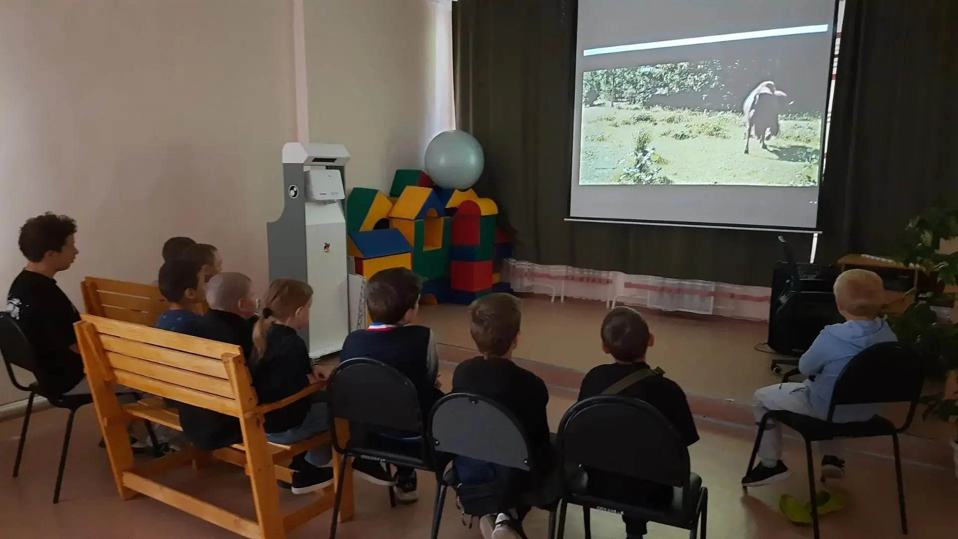 🎬 Кинолектории по вторникам: «Дети леса»