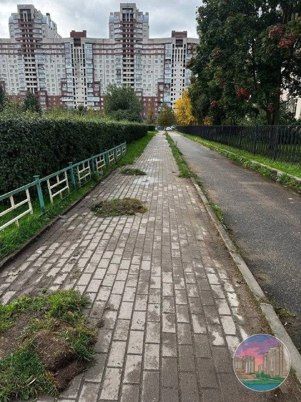 Уборка у пруда вызвала тревогу у жителей