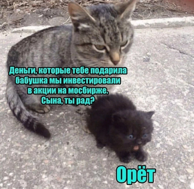 Доллар не смог преодолеть сопротивление, индекс растёт за счёт металлургов⚡️Итоги дня