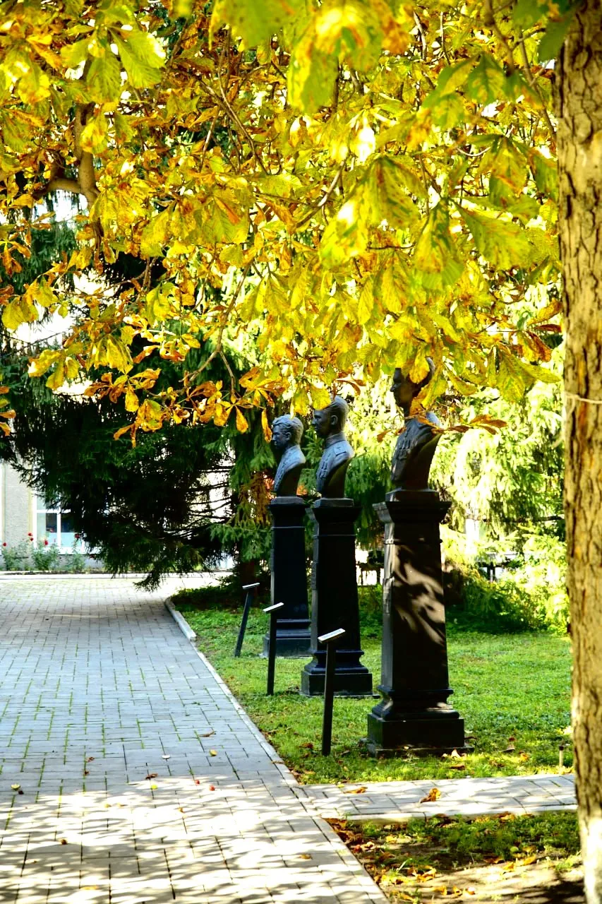 🍂 Осень в Политехе