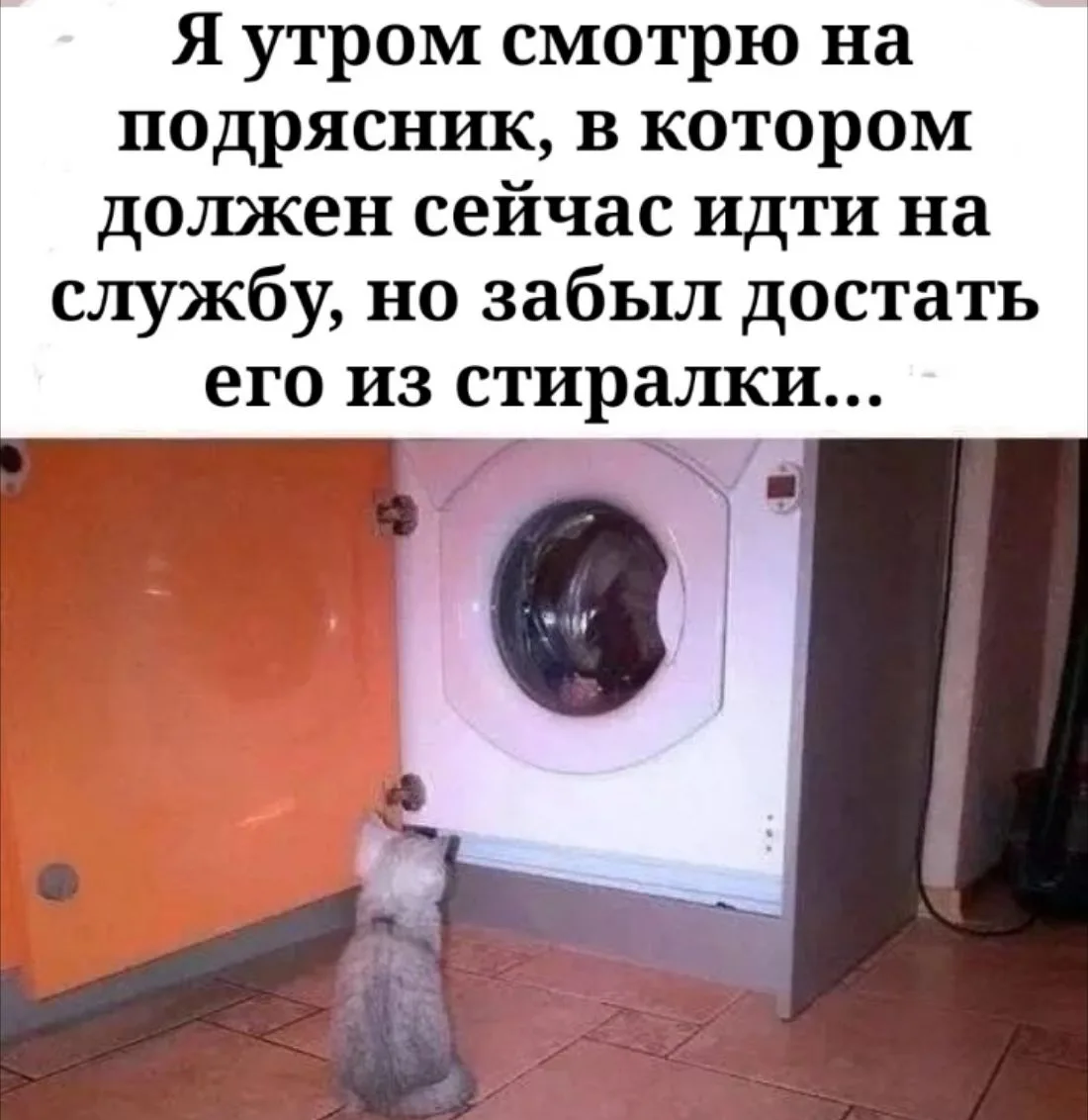 Улыбаемся и машем! Всех с воскресным днём 💐