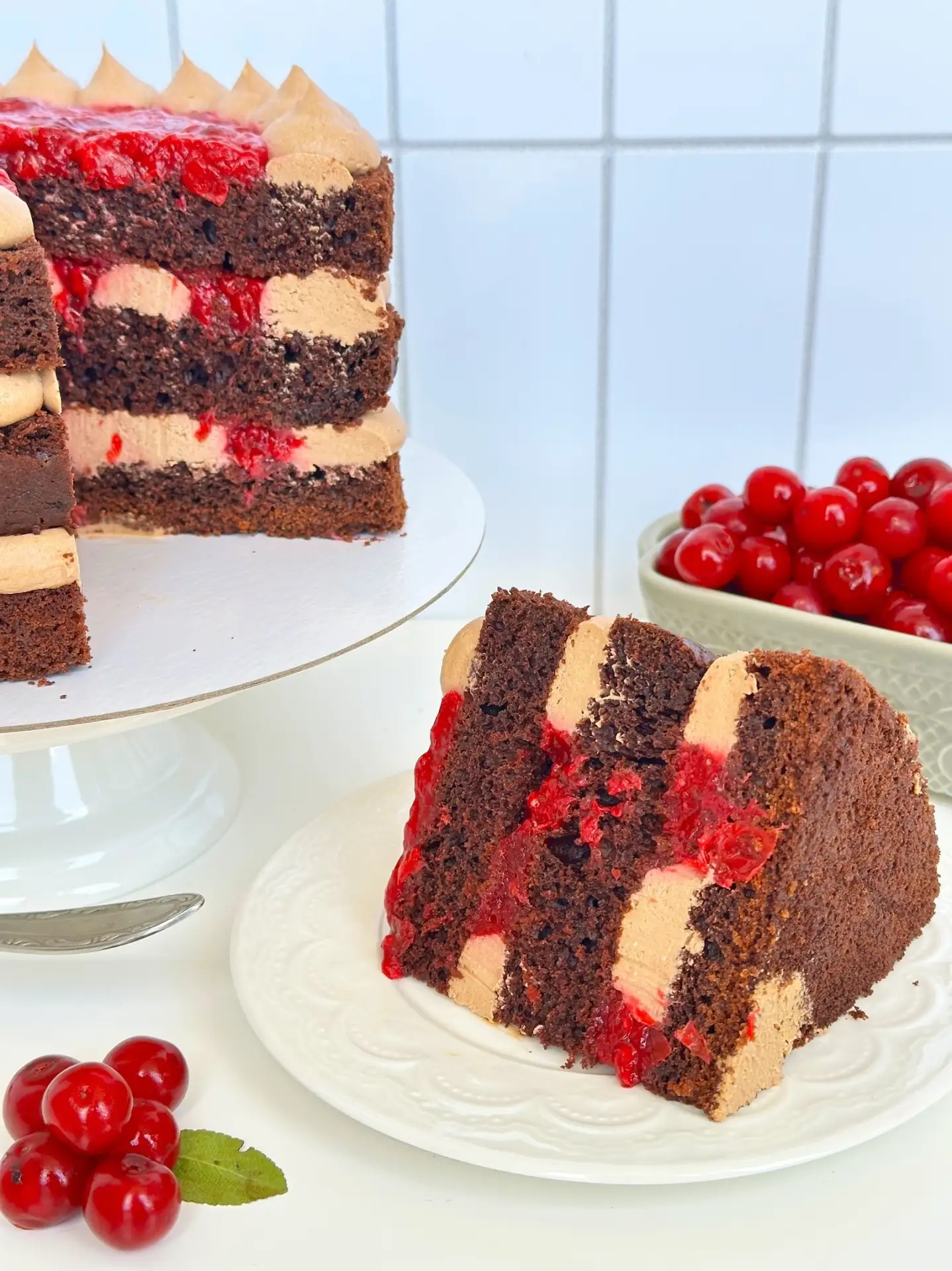 🍫 КУРС «ЧЁРНЫЙ ЛЕС» В ОТКРЫТОМ ДОСТУПЕ. ВСЕГО 1 ДЕНЬ 🍒