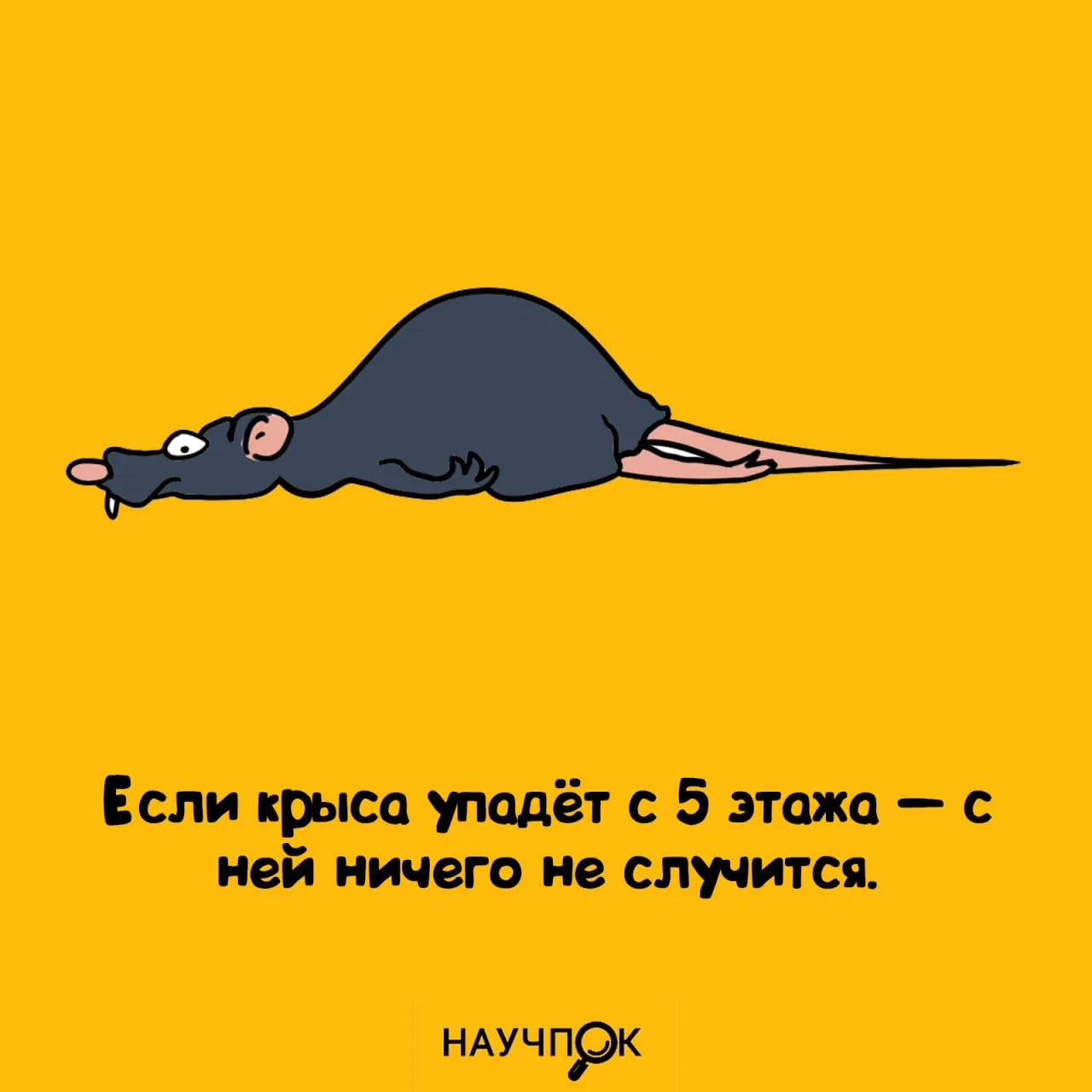 Вот бы нам такую живучесть 🥰