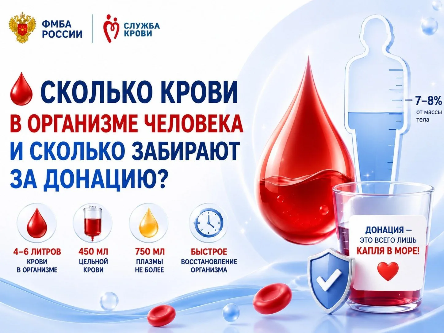 🩸 Сколько крови в организме человека и сколько забирают за донацию?