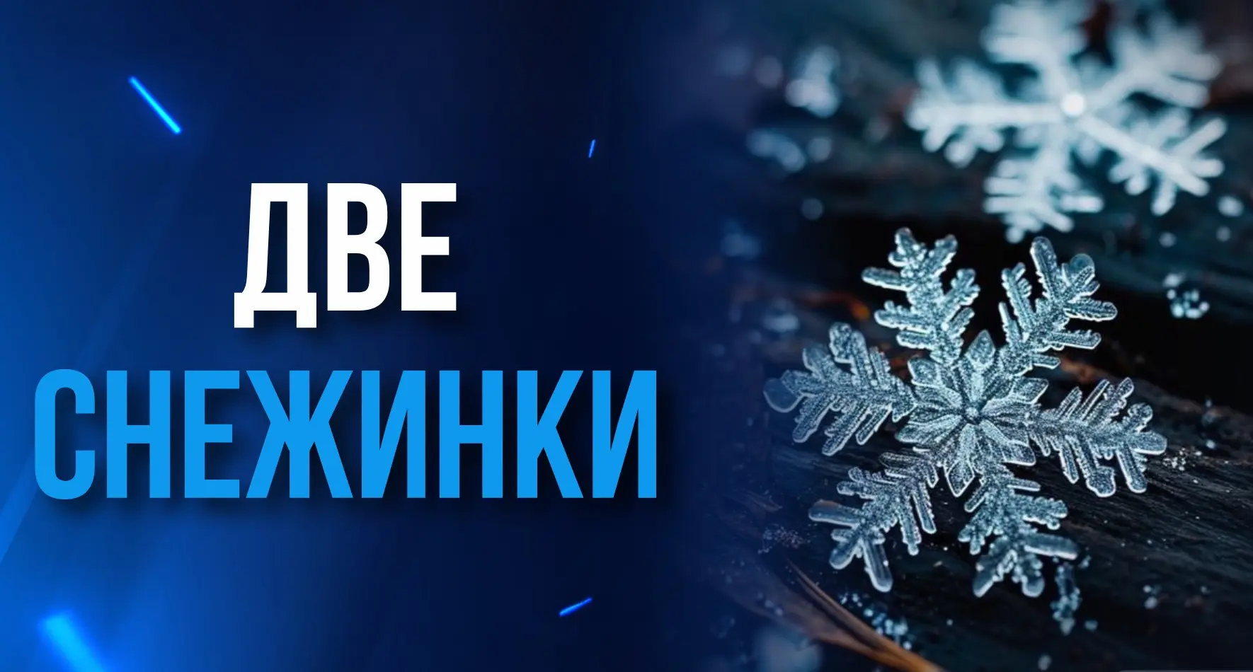 ОДНАЖДЫ С НЕБА ПАДАЛИ ДВЕ СНЕЖИНКИ.