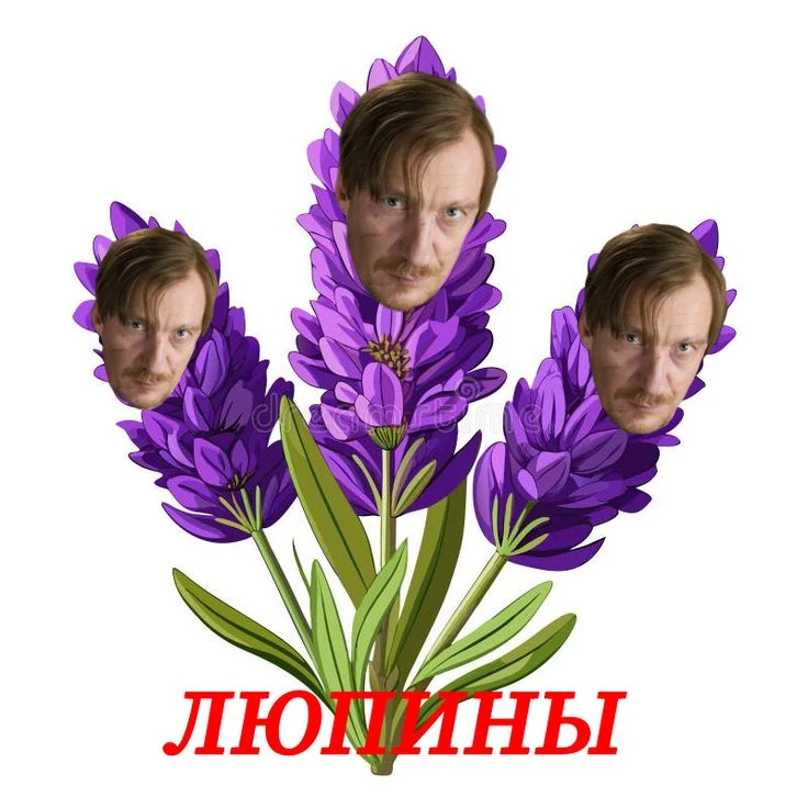 🥰❤️ Букет Люпинов для тебя!
