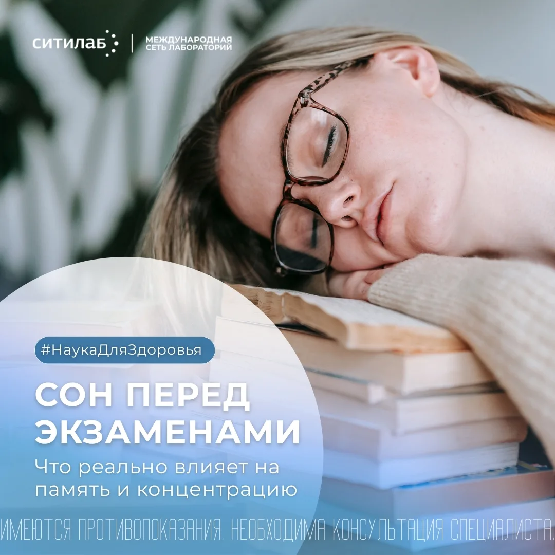 💤 Сон перед экзаменами: что реально влияет на память и концентрацию