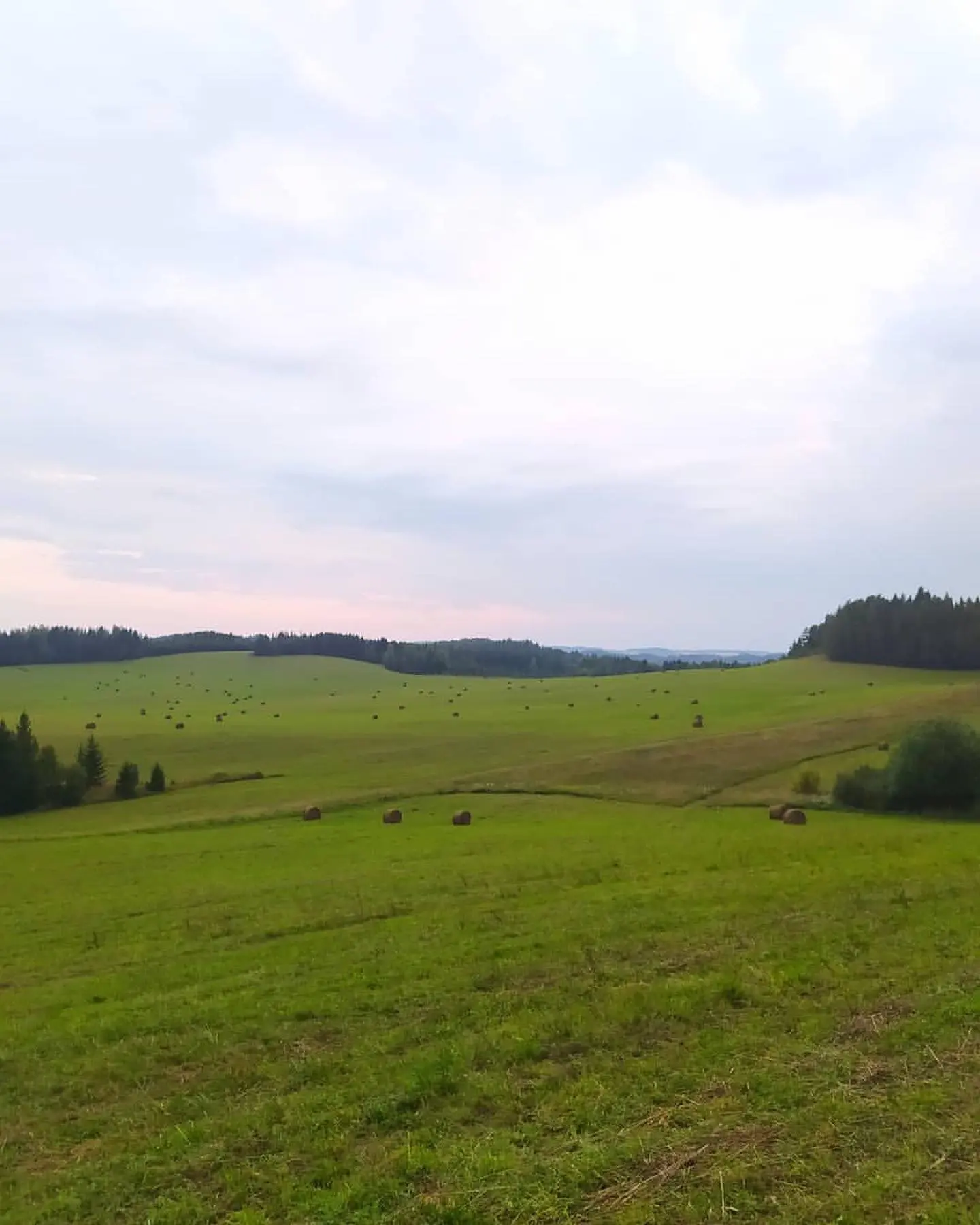 КАРГУРЕЗЬ 🌲