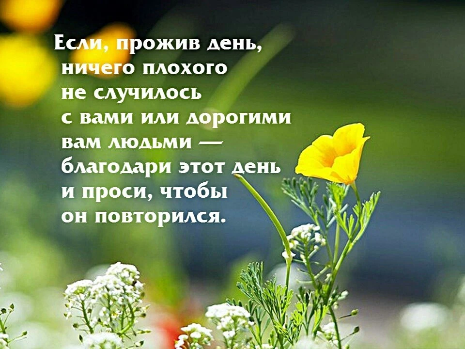 Спасибо, Господи, за всё!🙏