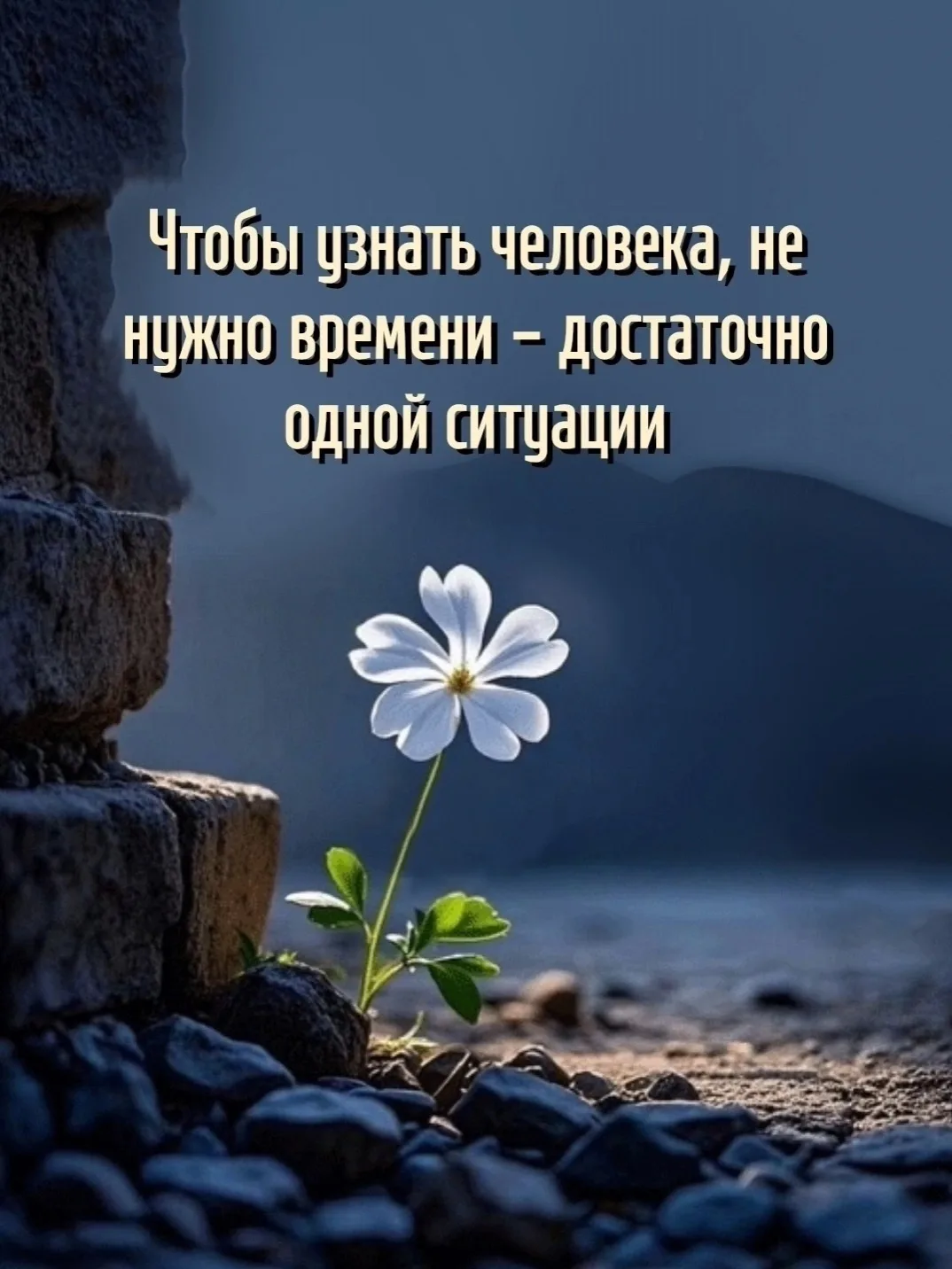 Цитаты жизни