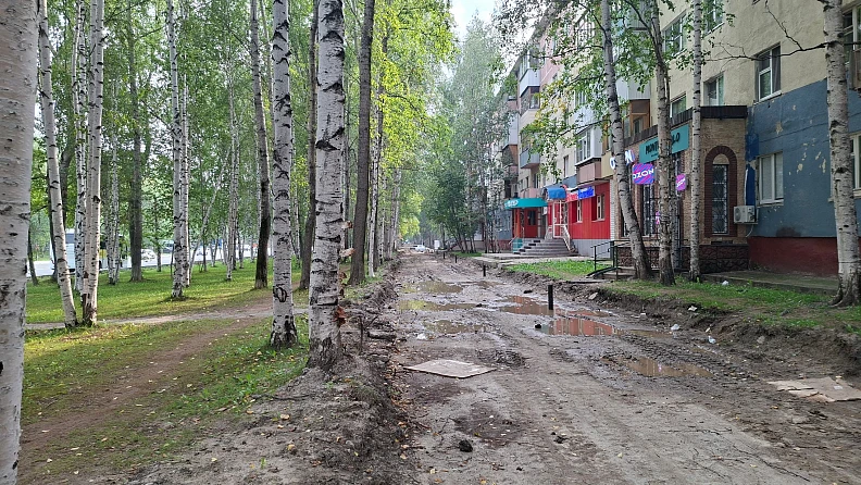 Администрация Нижневартовска ответила на опасения по поводу деревьев на проспекте Победы.