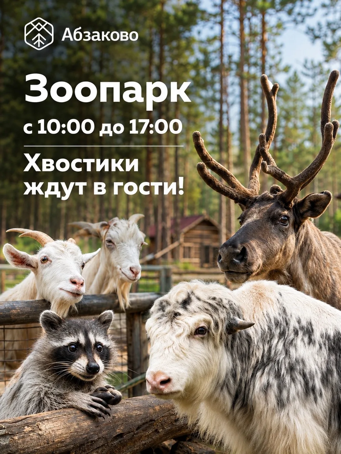Уважаемые гости!