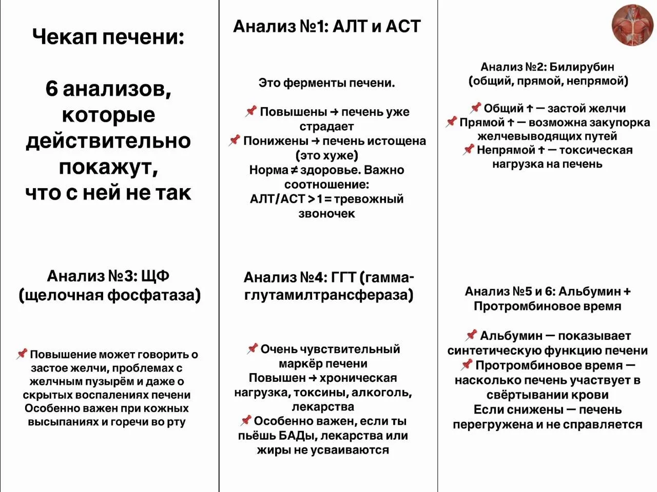 Проверьте, всё ли хорошо с печенью