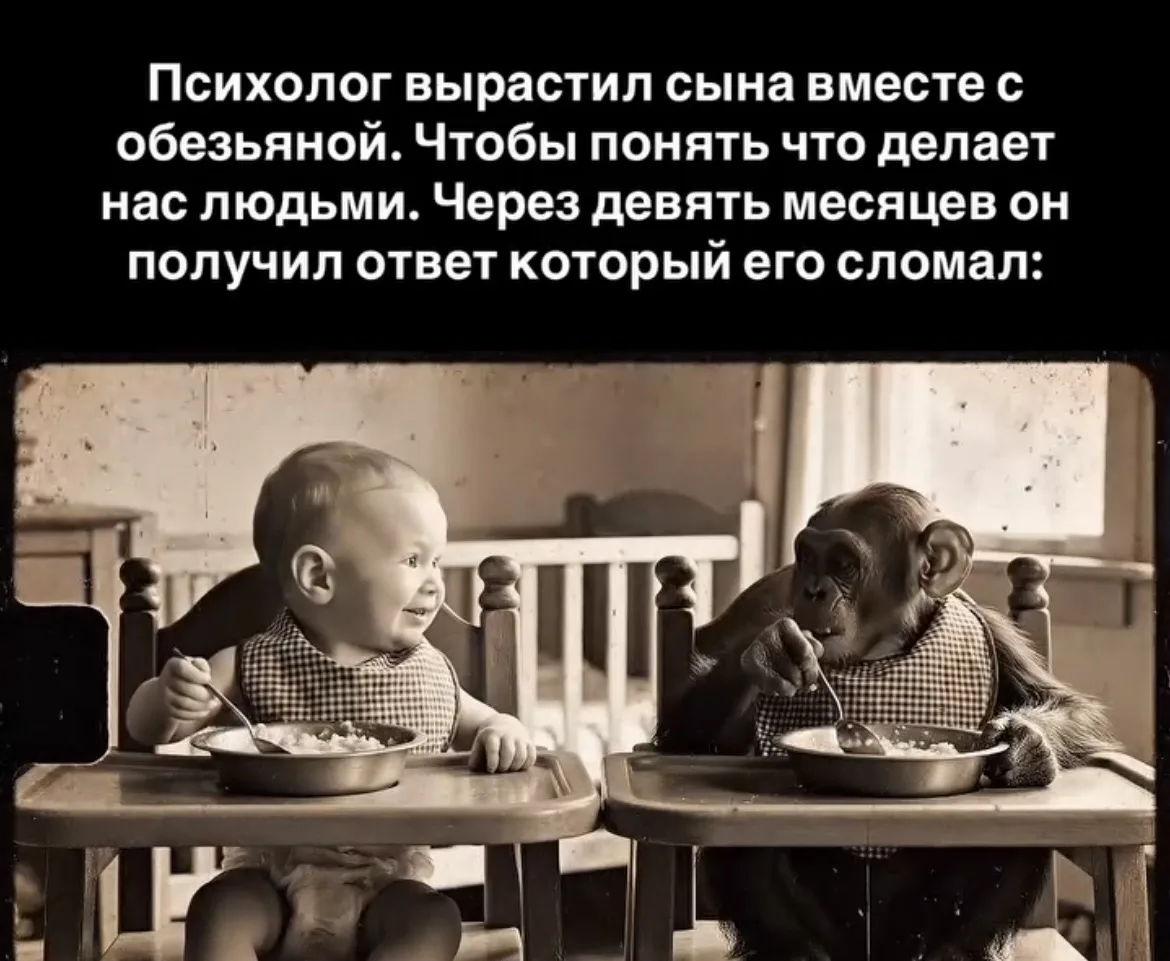1931 год. Уинтроп Келлог забирает из питомника детёныша шимпанзе. Семимесячная самка по...