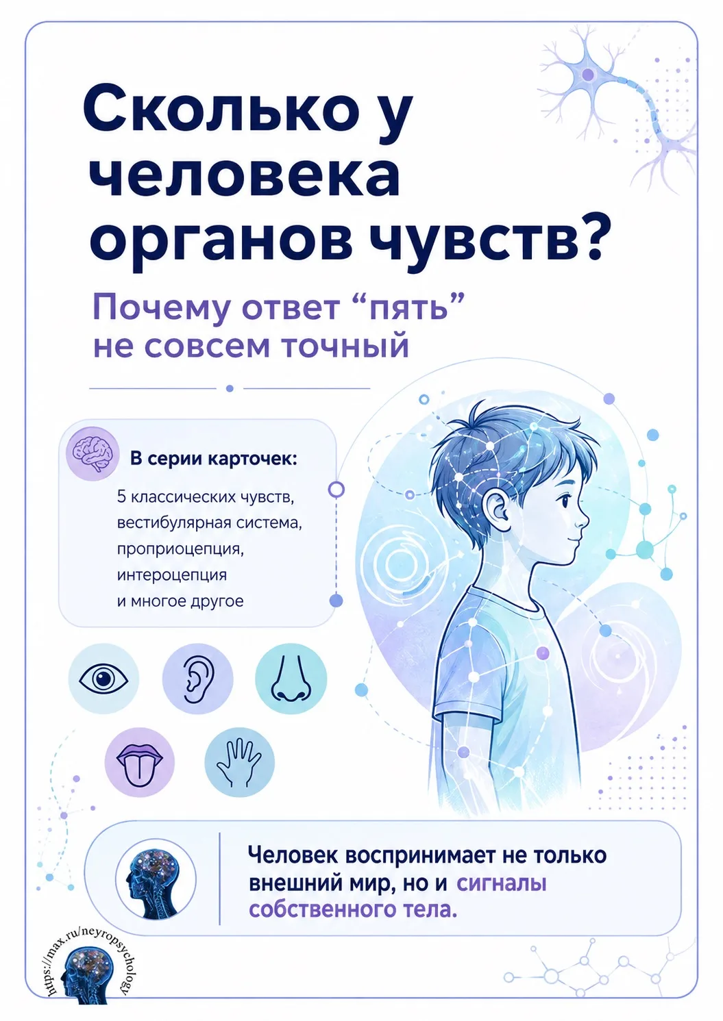 🧠 Сколько у человека органов чувств: почему ответ «пять» не совсем точный

Зрение, слух, вкус, обон