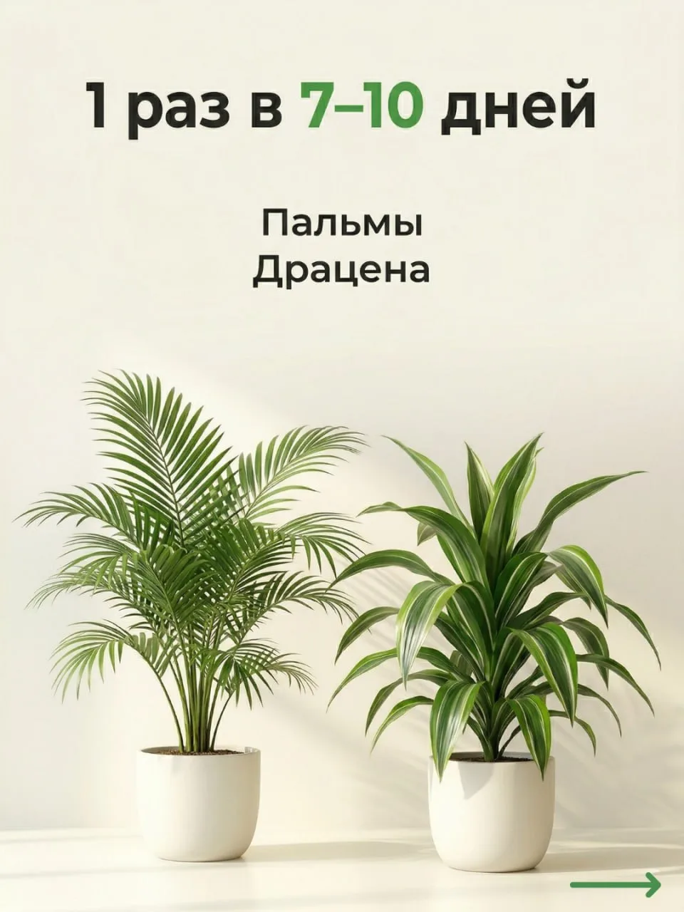 Секреты полива и питания комнатных джунглей: шпаргалка от ОрганикМикс 🌿  По статистике 93% россиян в