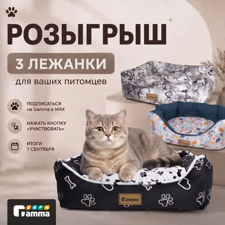 Бренд Gamma дарит три стильные лежанки для ваших любимцев! 🐶🐱