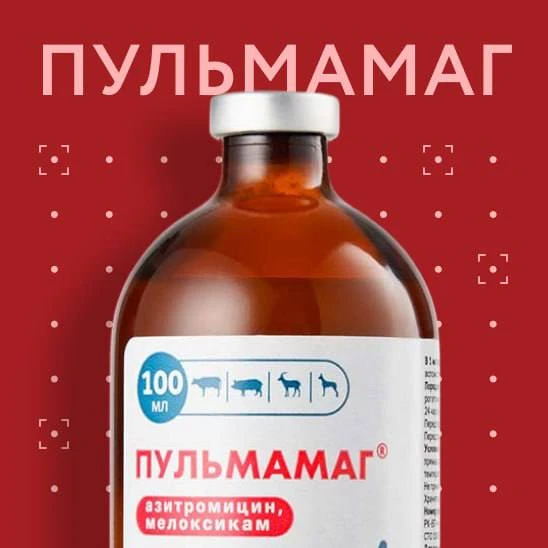 🏆 Противомикробная и противовоспалительная активность комплексного препарата Пульмамаг®