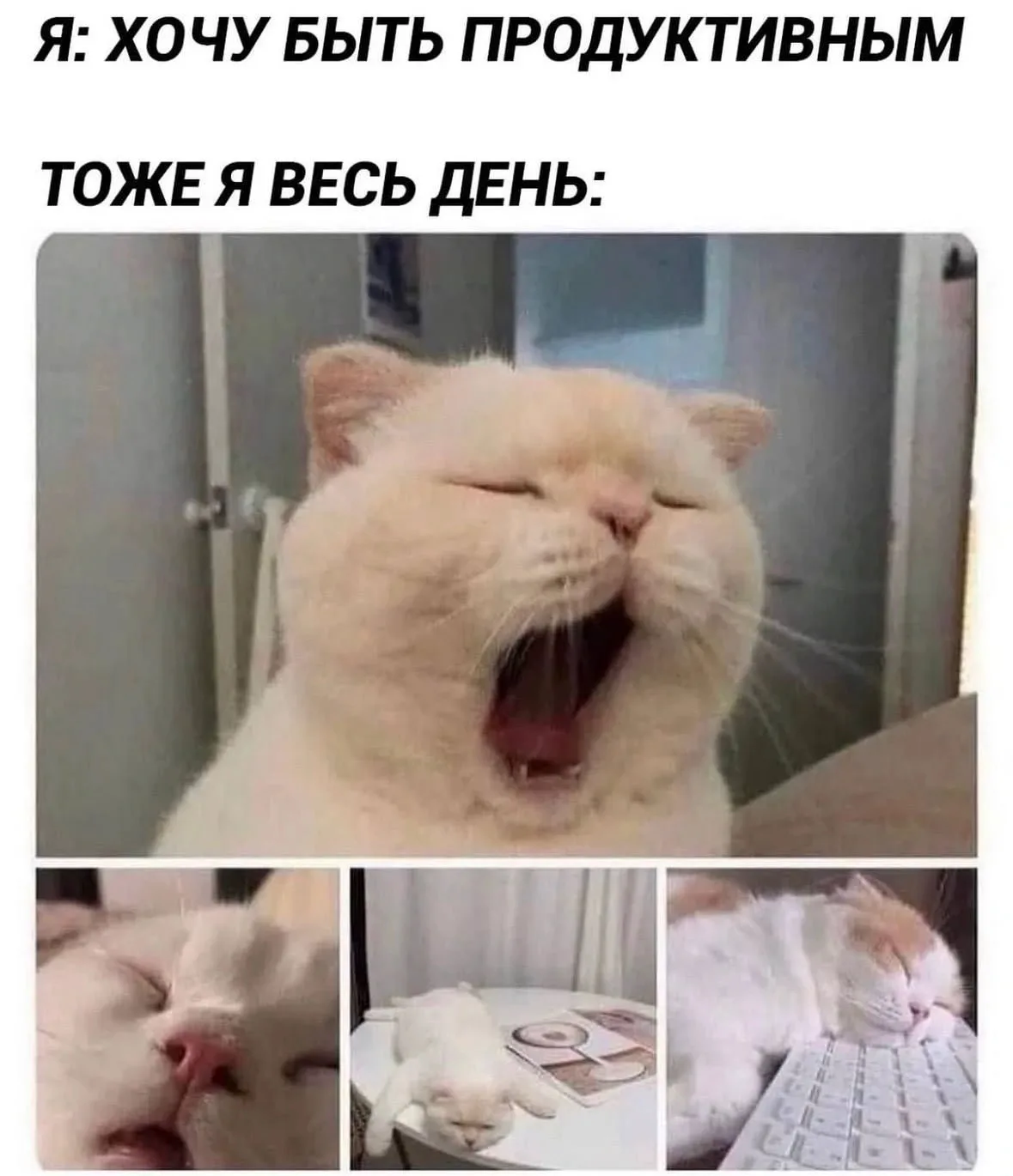 Доброе утречко!