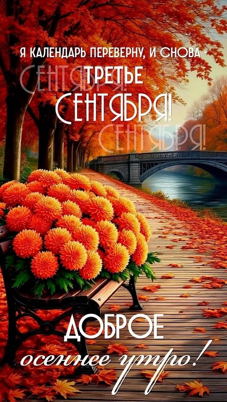 🌞