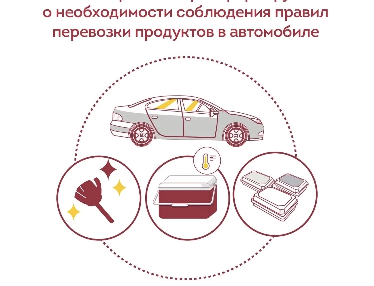 🌞Лето, жара, многие отправляются на природу, берут с собой продукты питания.

🔖Сегодня хотим дать 