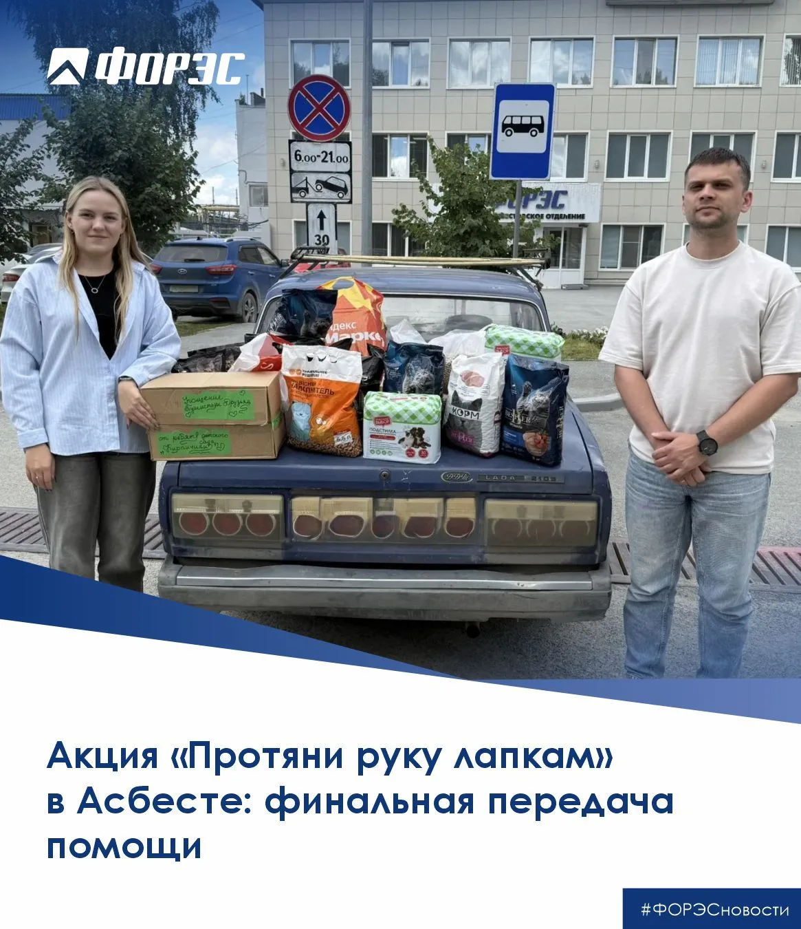 Акция «Протяни руку лапкам» в Асбесте: финальная передача помощи