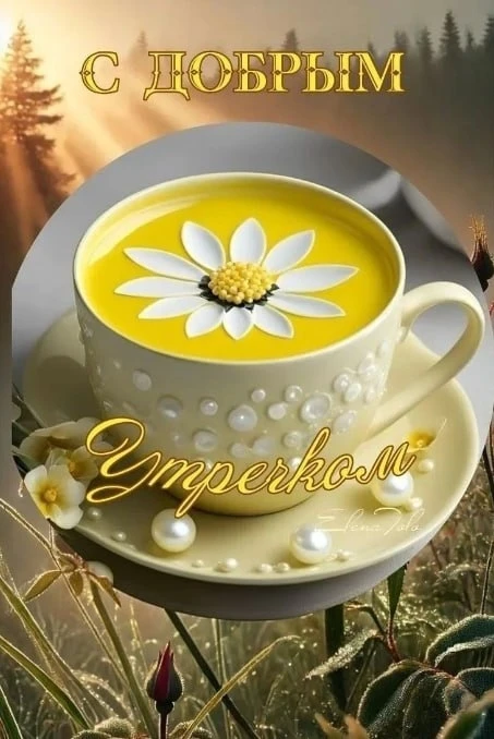 🙂 Доброе утро!🌷



☀️✨🟢✨☀️

МЫ в МАХ - подписаться.

❤️ Фабрика Поздравлений
📌#доброеутро