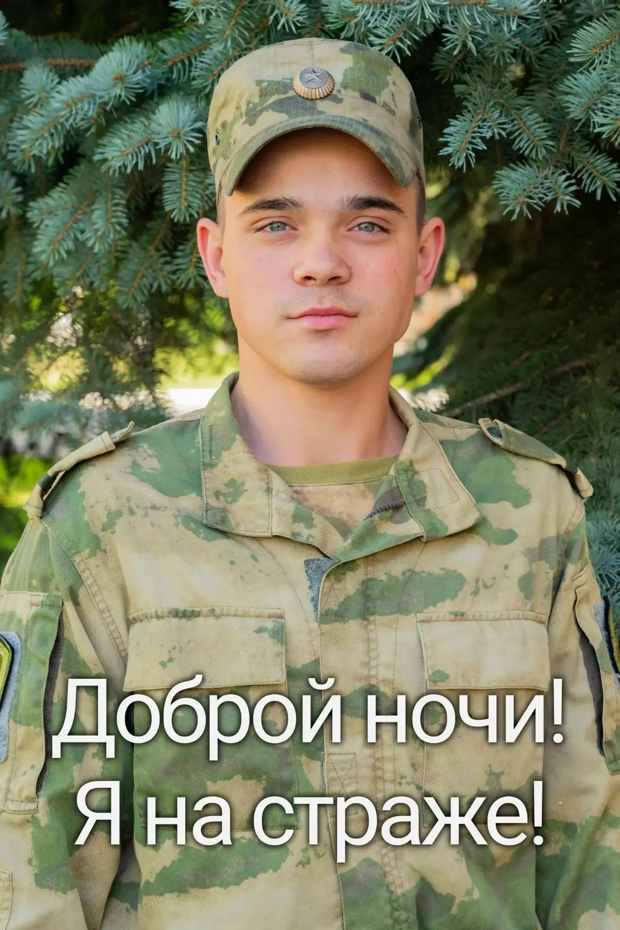 Доброй ночи! Я на страже!